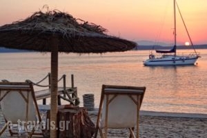 Venus Beach Hotel_best prices_in_Hotel_Central Greece_Attica_Rafina