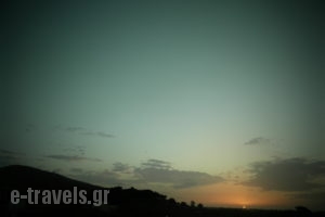 Alexia Apartments & Studios_lowest prices_in_Room_Dodekanessos Islands_Rhodes_Kremasti
