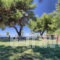 Angelos Karastergios Studios_best deals_Apartment_Macedonia_Halkidiki_Paradisos