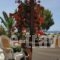 Tinos-Peristerionas_holidays_in_Room_Cyclades Islands_Tinos_Agios Fokas