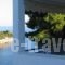 Gorgona Hotel_lowest prices_in_Hotel_Sporades Islands_Alonnisos_Patitiri