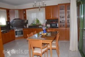 Villa Panorama_best prices_in_Villa_Crete_Rethymnon_Rethymnon City