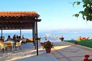 Seafront Apartments_accommodation_in_Apartment_Ionian Islands_Corfu_Lefkimi