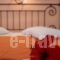 Anessis_best prices_in_Apartment_Cyclades Islands_Sandorini_Fira