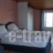 Villa Seretis_holidays_in_Villa_Aegean Islands_Samos_Kokkari