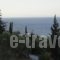 Villa Seretis_travel_packages_in_Aegean Islands_Samos_Kokkari