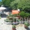 Angelena_lowest prices_in_Hotel_Central Greece_Fokida_Spilia of Trizonia