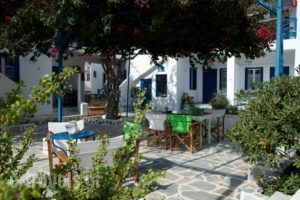 Dora_best prices_in_Apartment_Cyclades Islands_Syros_Syrosst Areas