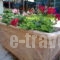 Alexandra_best prices_in_Hotel_Macedonia_Halkidiki_Nea Roda
