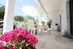 Angeliki Apartments_holidays_in_Apartment_Ionian Islands_Paxi_Gaios