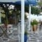 Agriolykos Pension_best prices_in_Hotel_Aegean Islands_Ikaria_Agios Kirykos