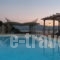 Asterida_holidays_in_Room_Ionian Islands_Ithaki_Stavros