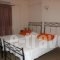 Asterida_best prices_in_Room_Ionian Islands_Ithaki_Stavros