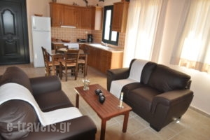 Harvest Moon_best deals_Apartment_Ionian Islands_Kefalonia_Chavdata