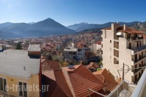 Galini_accommodation_in_Hotel_Central Greece_Evritania_Karpenisi