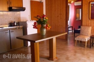 Sunny Flats_lowest prices_in_Hotel_Ionian Islands_Kefalonia_Kefalonia'st Areas