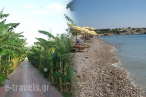 Alfa_accommodation_in_Hotel_Dodekanessos Islands_Rhodes_Kolymbia