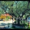 Avocado_travel_packages_in_Peloponesse_Ilia_Kastro Kylini