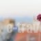 Pappas_travel_packages_in_Peloponesse_Korinthia_Kiato