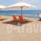 Vina Beach Hotel_best deals_Hotel_Sporades Islands_Skyros_Linaria