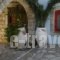 Arolithos Traditional Village Hotel_best deals_Hotel_Crete_Rethymnon_Anogia