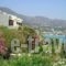 Panmar Apartments_accommodation_in_Apartment_Crete_Lasithi_Makrys Gialos