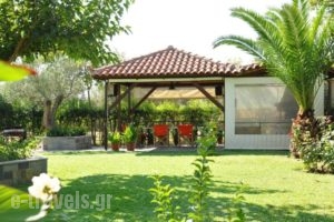 Villa Annilena_travel_packages_in_Peloponesse_Achaia_Aigio