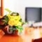 Saonissos_best deals_Hotel_Aegean Islands_Samothraki_Kamariotissa
