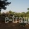 Villa Tatiana_best deals_Villa_Ionian Islands_Corfu_Corfu Rest Areas