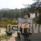 Villa Sandra_lowest prices_in_Villa_Sporades Islands_Skopelos_Skopelos Chora