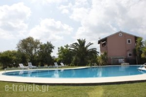 Chrysanthy Apartments_holidays_in_Room_Ionian Islands_Corfu_Sidari