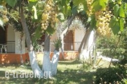 Studios Dimitris in Skiathos Chora, Skiathos, Sporades Islands