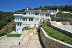 Golden Hill studios_accommodation_in_Apartment_Sporades Islands_Skiathos_Skiathos Rest Areas