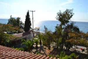 Regos_accommodation_in_Apartment_Macedonia_Halkidiki_Paradisos