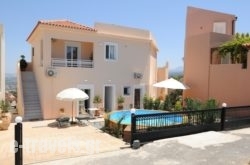 Diogenis Home_s __1