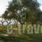 Eleon Grand Resort & Spa_accommodation_in_Hotel_Ionian Islands_Zakinthos_Zakinthos Rest Areas