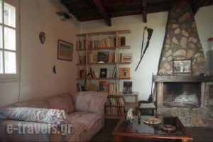 Traditional Houses_best prices_in_Hotel_Aegean Islands_Chios_Chios Rest Areas