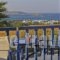 Arokaria Dreams_lowest prices_in_Apartment_Cyclades Islands_Paros_Piso Livadi