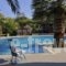 Arokaria Dreams_holidays_in_Apartment_Cyclades Islands_Paros_Piso Livadi