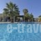 Arokaria Dreams_best prices_in_Apartment_Cyclades Islands_Paros_Piso Livadi