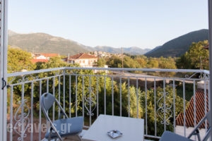 Elatos Apartments_best deals_Apartment_Peloponesse_Achaia_Klitoria