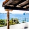 Tomato Hotel_accommodation_in_Hotel_Sporades Islands_Skiathos_Skiathos Chora