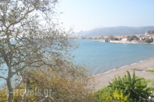 Pension Afroditi_accommodation_in_Room_Central Greece_Aetoloakarnania_Nafpaktos