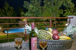 Villa Georgia_lowest prices_in_Villa_Crete_Rethymnon_Stavromenos