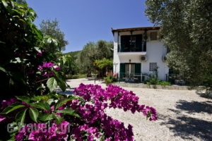 Katerina Pension_accommodation_in_Room_Sporades Islands_Skopelos_Panormos