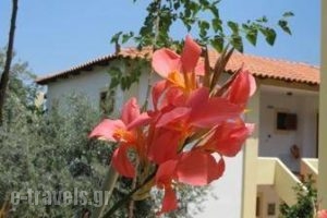 Hotel Heleni Apartments_accommodation_in_Apartment_Peloponesse_Argolida_Archea (Palea) Epidavros