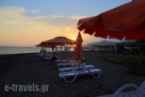 Akrogiali_holidays_in_Apartment_Central Greece_Evia_Amaranthos