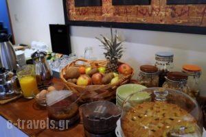 Xenion Tou Giorgou Merantza_accommodation_in_Apartment_Macedonia_Grevena_Grevena City