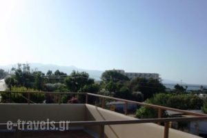 Alexandros M_holidays_in_Hotel_Crete_Chania_Platanias