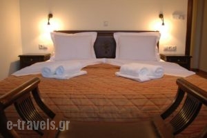 Zagori Philoxenia Hotel_best prices_in_Hotel_Epirus_Ioannina_Papiggo